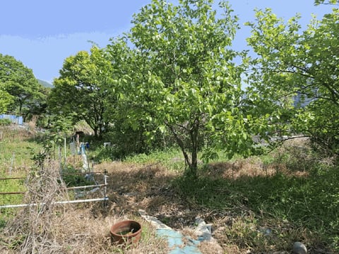 물건 사진 21