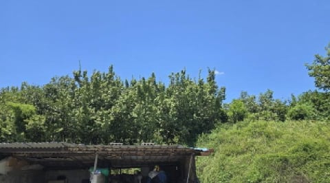 물건 사진 4