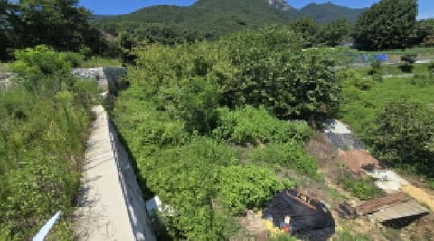 물건 사진 1