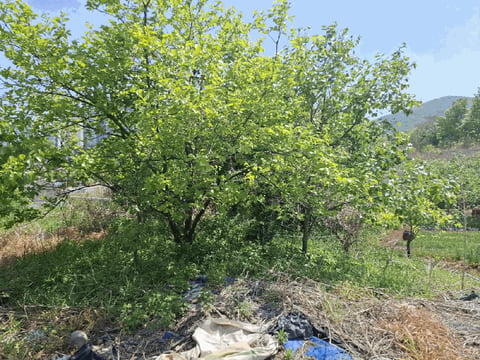 물건 사진 12
