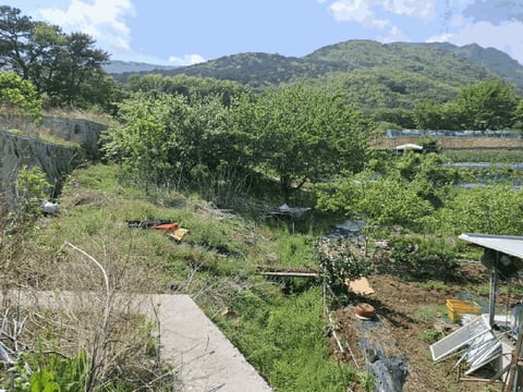 물건 사진 16