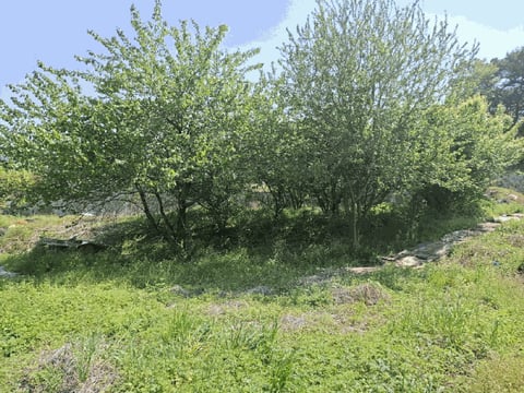 물건 사진 18