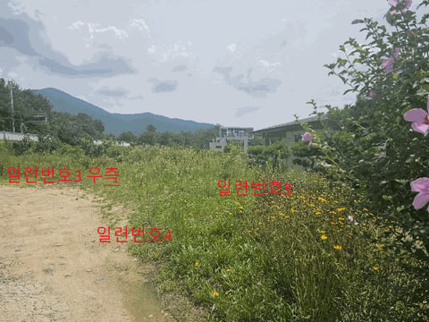 물건 사진 13