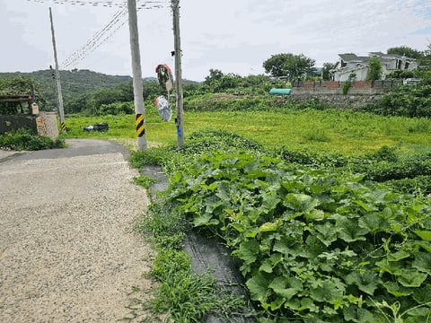 물건 사진 11