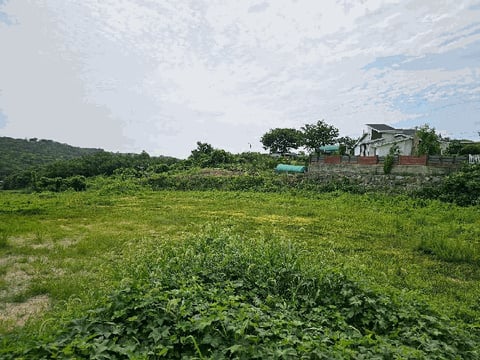 물건 사진 13