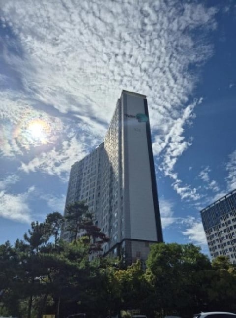 물건 사진 2