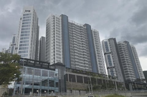 물건 사진 1