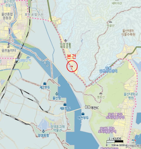 물건 사진 8