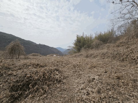 물건 사진 11