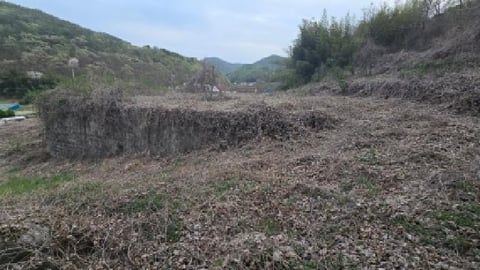 물건 사진 6