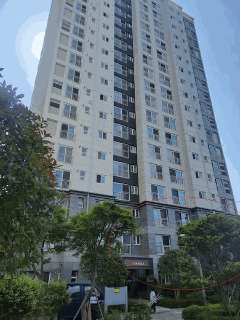 물건 사진 6