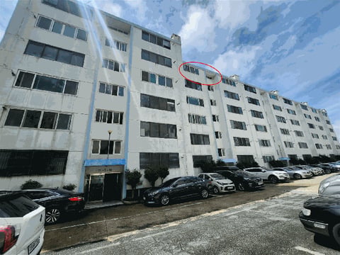 물건 사진 12