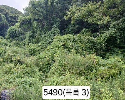 물건 사진 4