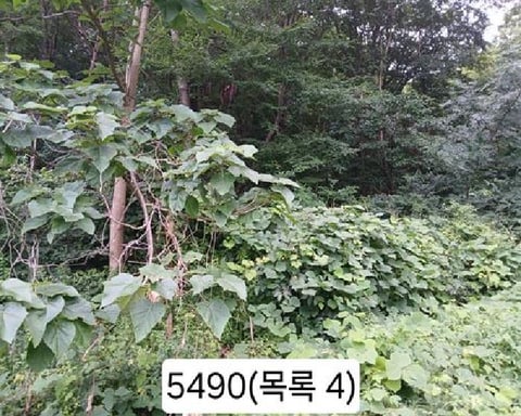 물건 사진 5