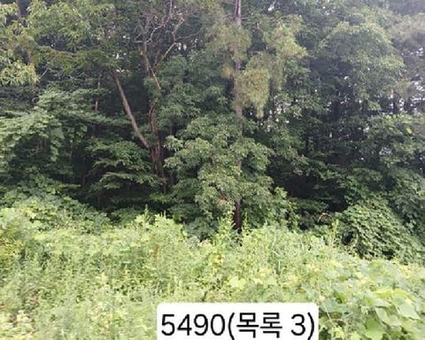 물건 사진 6