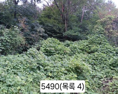 물건 사진 7