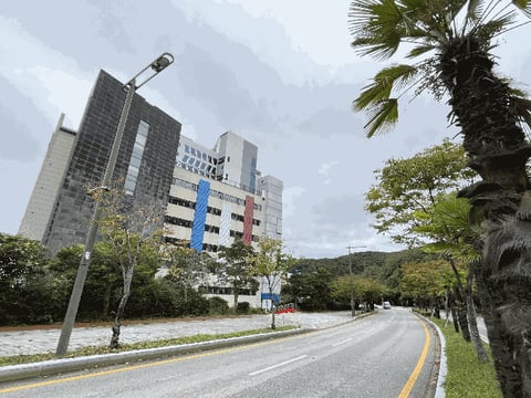 물건 사진 31