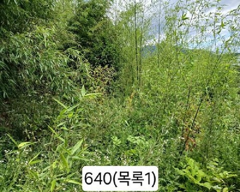 물건 사진 2