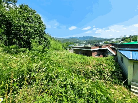 물건 사진 12