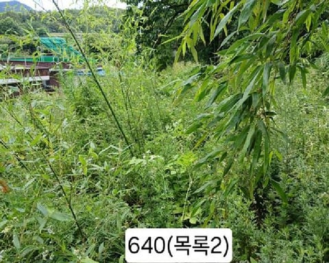물건 사진 3