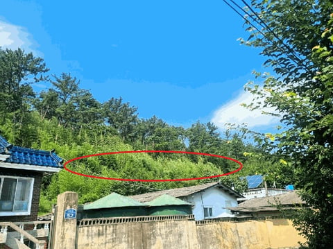 물건 사진 7