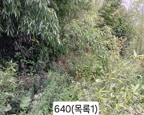 물건 사진 1