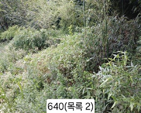물건 사진 4