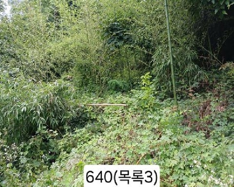 물건 사진 5