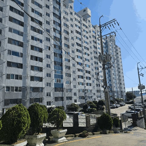 물건 사진 5