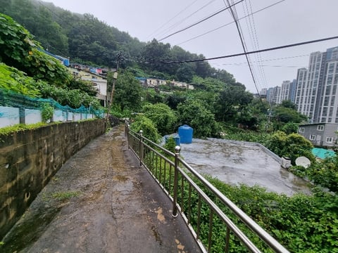 물건 사진 12