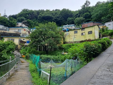 물건 사진 6