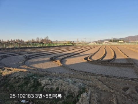 물건 사진 4