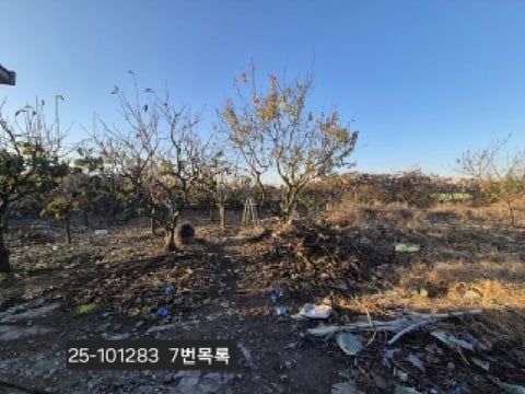 물건 사진 7