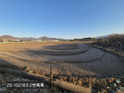 물건 사진 3