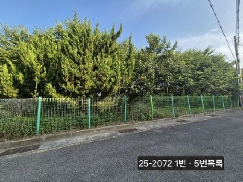 물건 사진 1