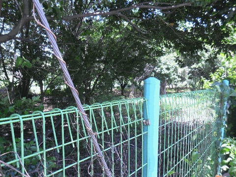 물건 사진 11