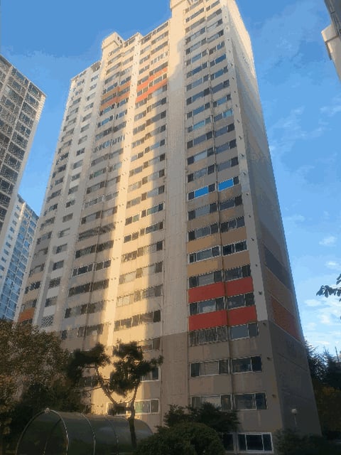 물건 사진 5
