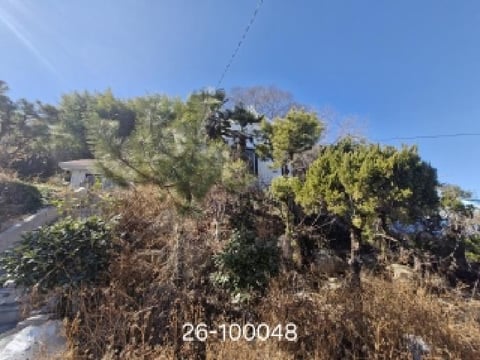 물건 사진 6
