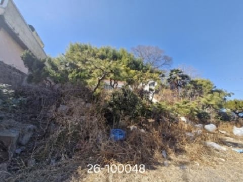 물건 사진 7