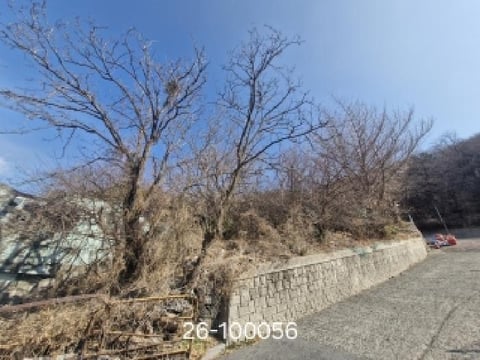 물건 사진 11