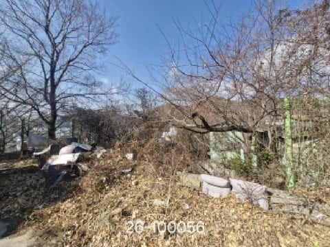 물건 사진 12