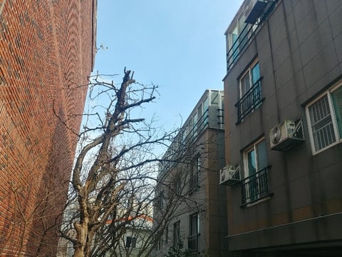 물건 사진 110
