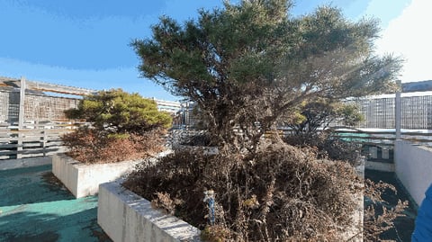 물건 사진 13