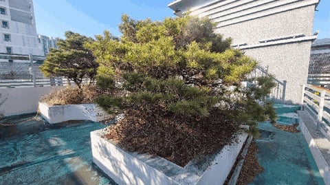 물건 사진 28