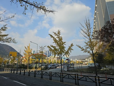 물건 사진 5
