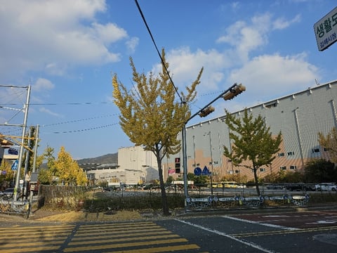 물건 사진 7