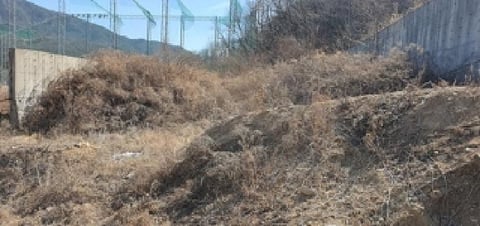 물건 사진 2