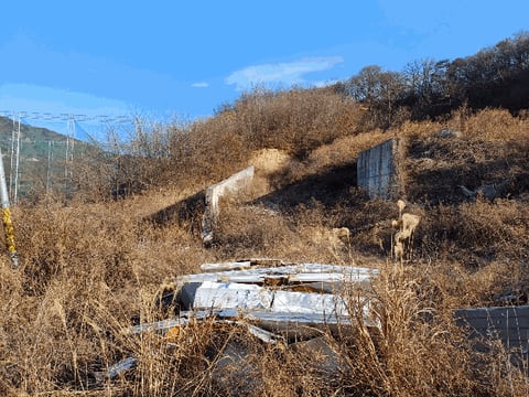 물건 사진 11
