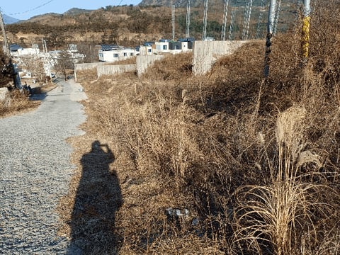 물건 사진 15