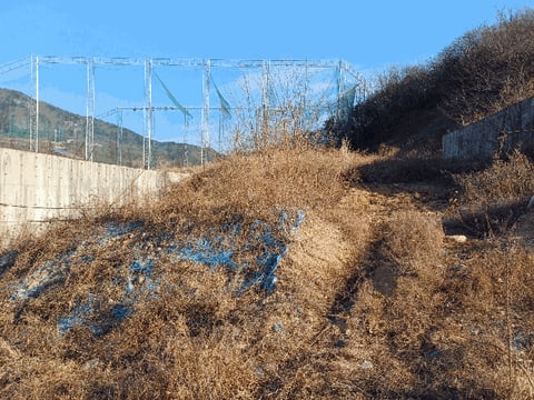 물건 사진 16